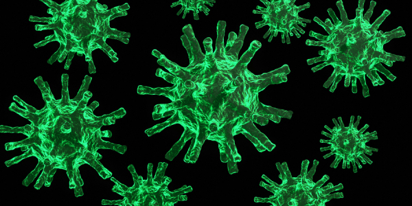 FRANKENSTEİN VARYANTI  TÜRKİYE’de GÖRÜLDÜ, VATANDAŞLAR DİKKAT