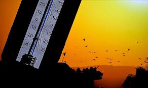 Yazın  güneş çarpmasına dikkat