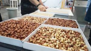 PEYMAN KURUYEMİŞ İÇİN KARAR VERİLDİ