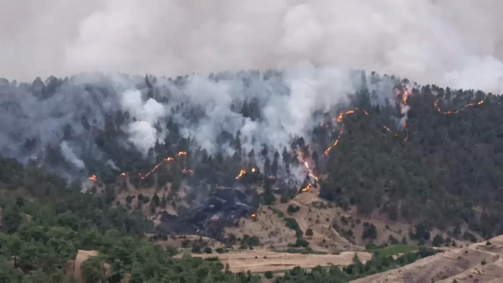 BURSA, KARABÜK ve KAHRAMANMARAŞ  ALEVLERLE MÜCADELE EDİYOR