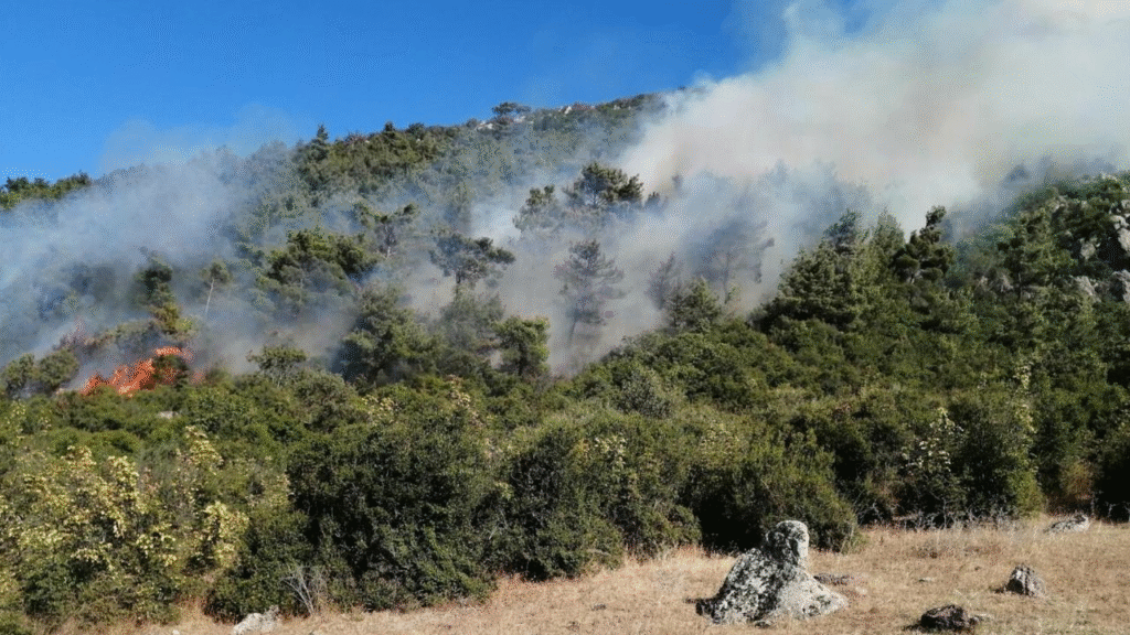 SOMA’da ORMAN YANGINI ALARMI HAVADAN ve KARADAN SEFERBERLİK
