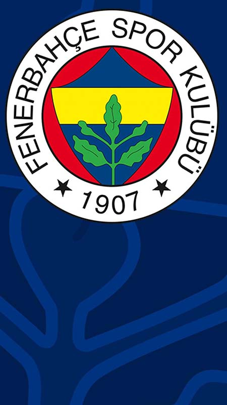 ŞAMPİYONLAR LİGİ’nde FENERBAHÇE’nin MUHTEMEL RAKİPLERİ NETLEŞTİ
