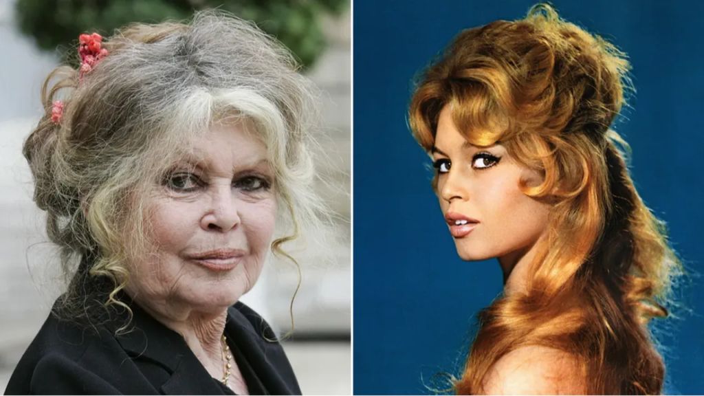 FRANSIZ SİNEMASININ İKONU BRİGİTTE BARDOT 91 YAŞINDA VEFAT ETTİ