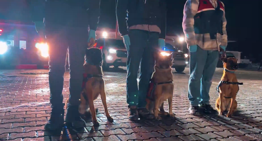 10 İlde Dev Uyuşturucu Operasyonu