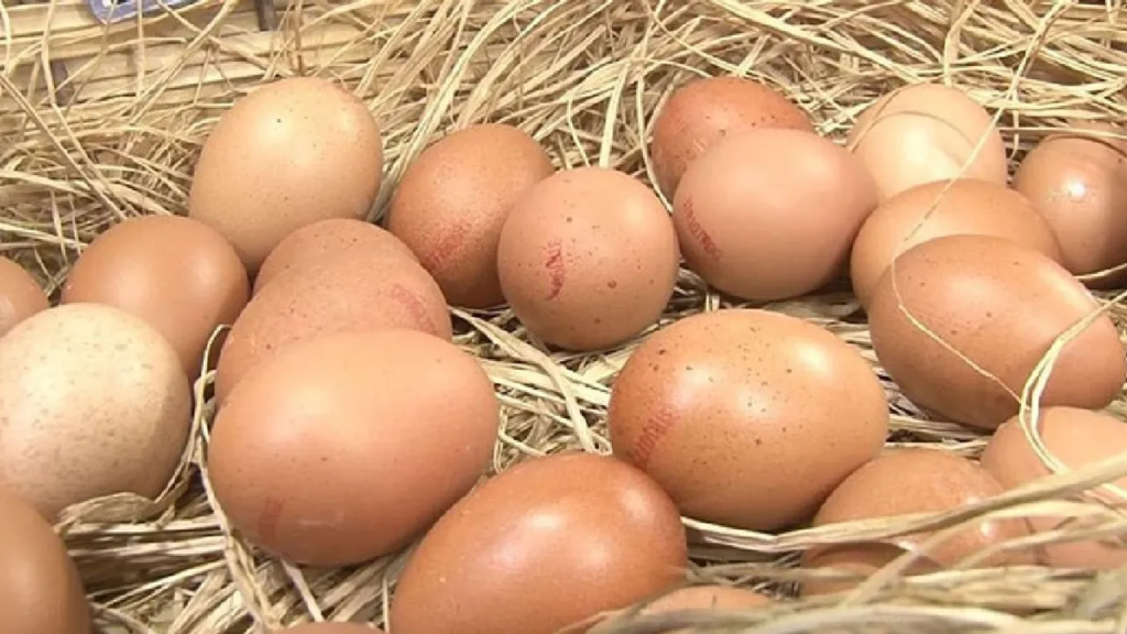 Kahverengi Yumurtalar Piyasadan Siliniyor