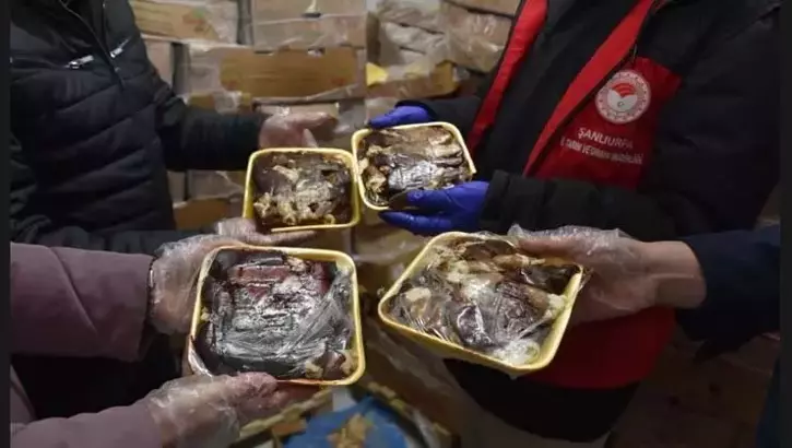 Şanlıurfa’da 50 Ton Bozuk Tavuk Piyasaya Sürülecekti
