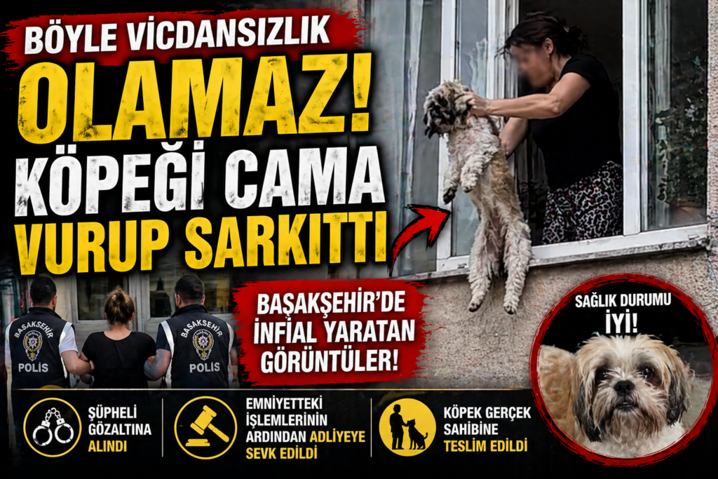 Vicdanları Sarsan Görüntü