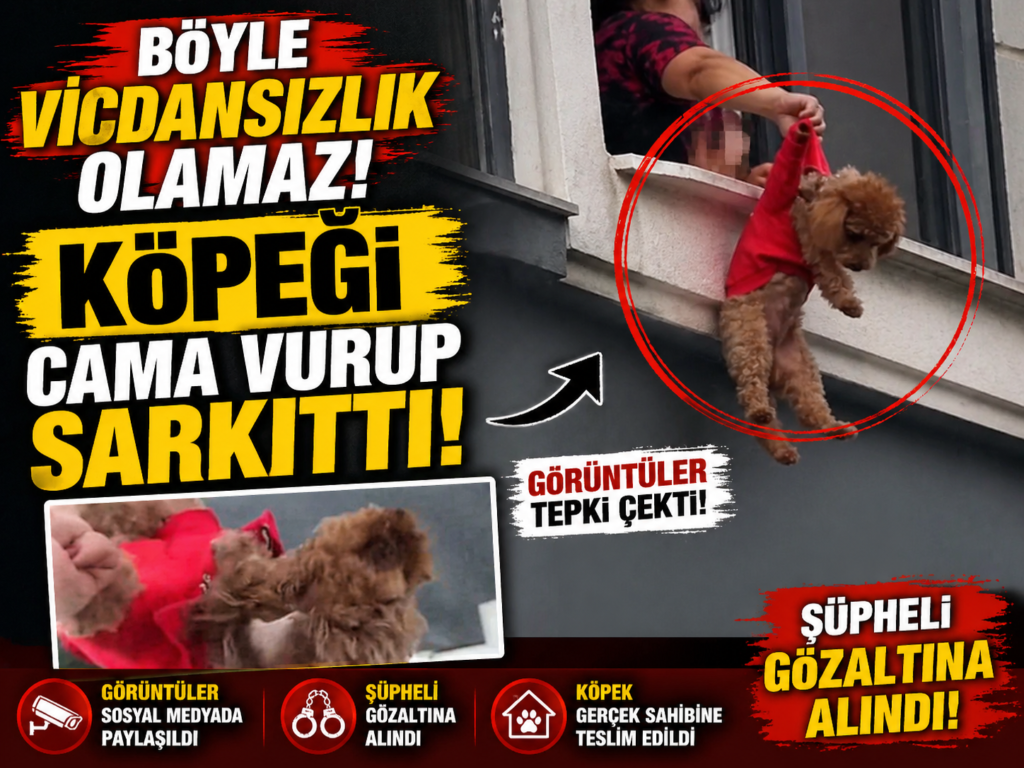 Böyle Vicdansızlık Olmaz, Köpeğe Akılalmaz İşkence