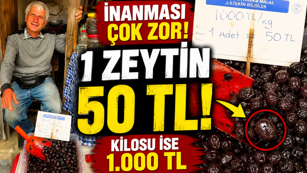 İnanması Çok Zor! Bir Zeytinin Tanesi 50 TL