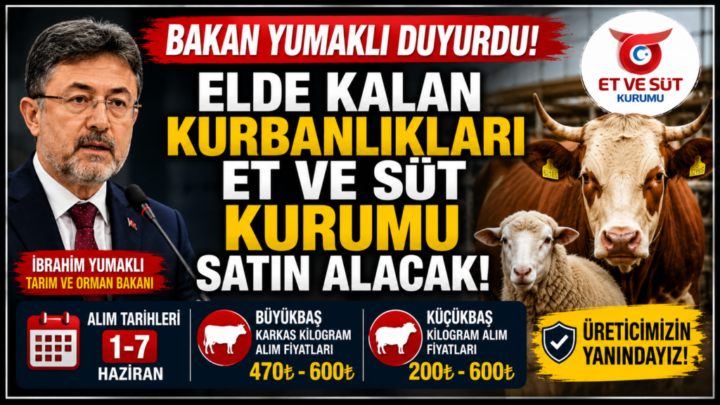 Satılamayan Kurbanlıkları Devlet Alacak