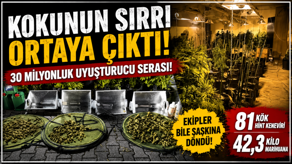 İstanbul Kağıtha’nede Uyuşturucu Serası