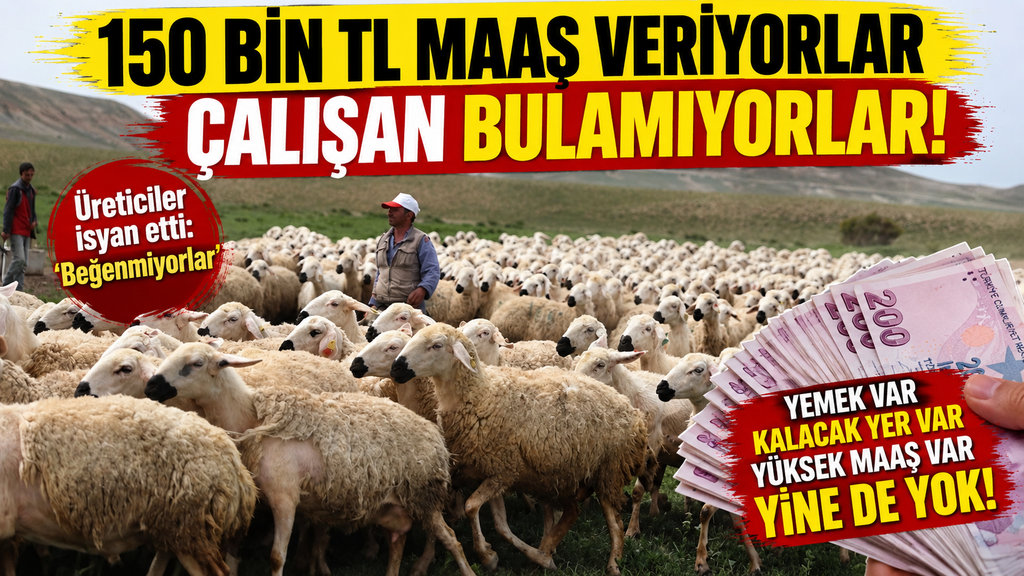 150 Bin maaş var, çalışan yok