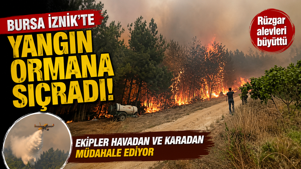 Bursa İznik’te orman yangını
