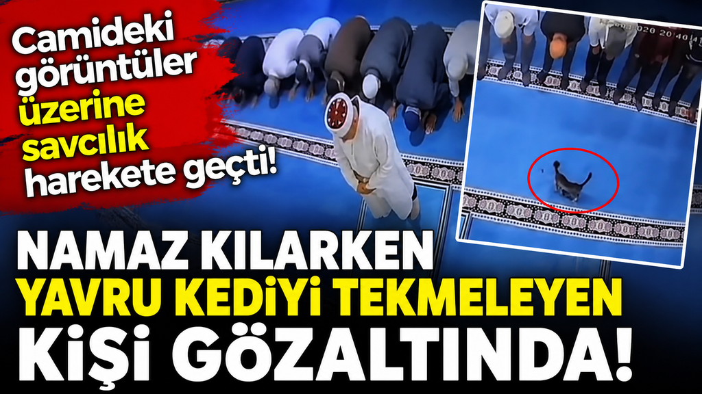 Camide kediyi tekmeleyen kişi gözaltına alındı